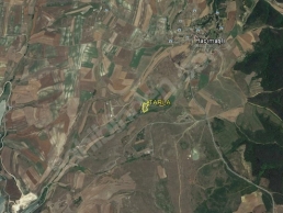 Hacımaşlı Kanal İstanbul Proje İçi 6900 m2 Müstakil